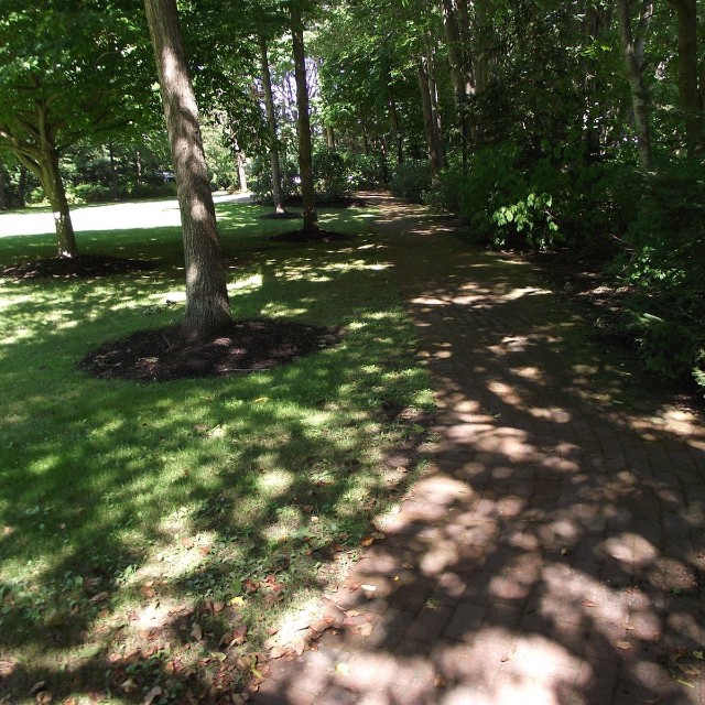 A brick walkway next to a grassy area in Dorothea Jacobs Grant Common