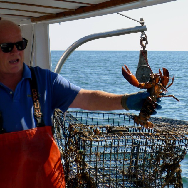 A man holding a lobster over a lobster trap